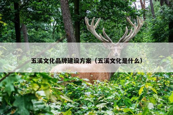 五溪文化品牌建设方案（五溪文化是什么）