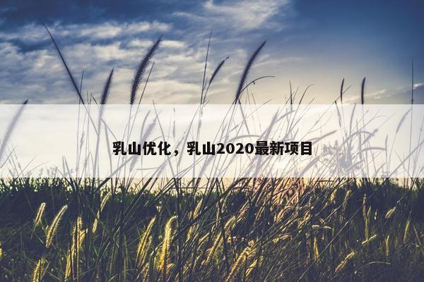 乳山优化，乳山2020最新项目