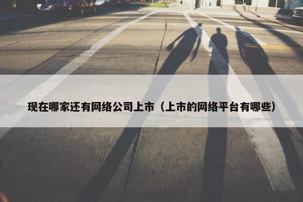 现在哪家还有网络公司上市（上市的网络平台有哪些）