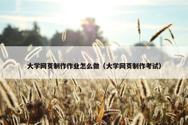 大学网页制作作业怎么做（大学网页制作考试）