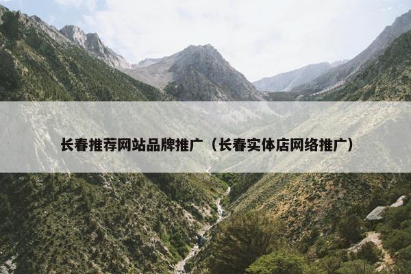 长春推荐网站品牌推广（长春实体店网络推广）