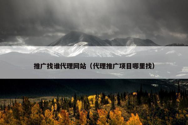 推广找谁代理网站（代理推广项目哪里找）