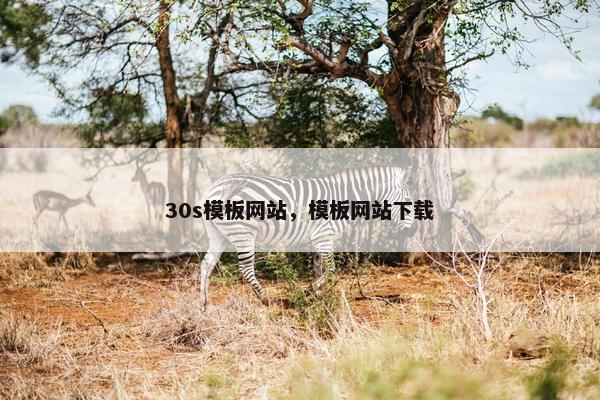 30s模板网站，模板网站下载
