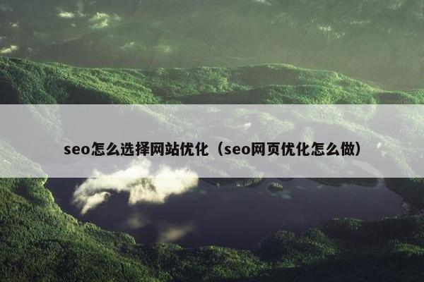 seo怎么选择网站优化（seo网页优化怎么做）