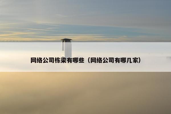 网络公司栋梁有哪些（网络公司有哪几家）
