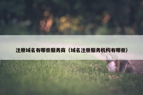 注册域名有哪些服务商（域名注册服务机构有哪些）