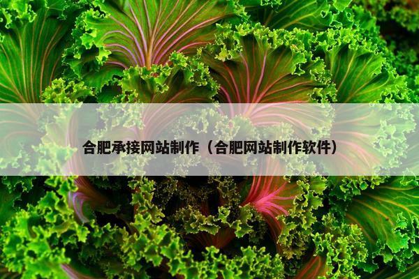 合肥承接网站制作（合肥网站制作软件）