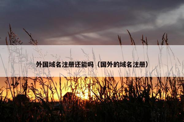 外国域名注册还能吗（国外的域名注册）