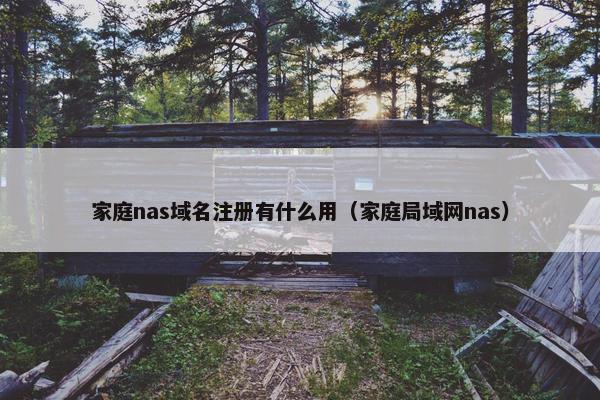 家庭nas域名注册有什么用（家庭局域网nas）