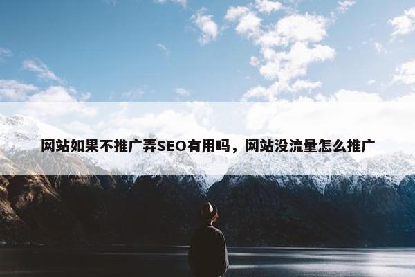 网站如果不推广弄SEO有用吗，网站没流量怎么推广