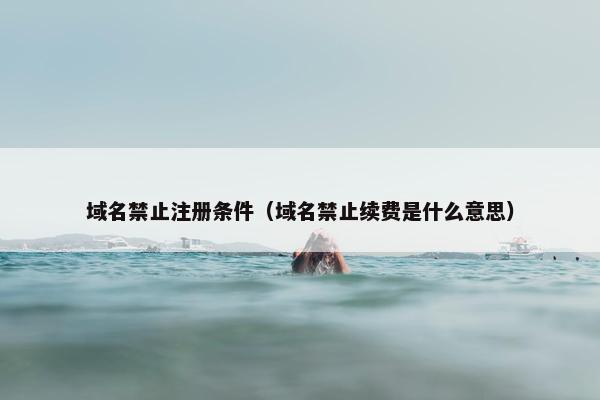 域名禁止注册条件（域名禁止续费是什么意思）