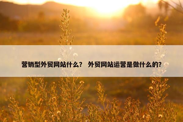 营销型外贸网站什么？ 外贸网站运营是做什么的？