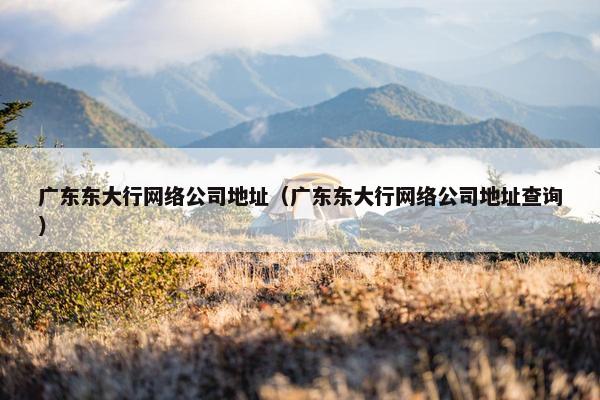 广东东大行网络公司地址（广东东大行网络公司地址查询）
