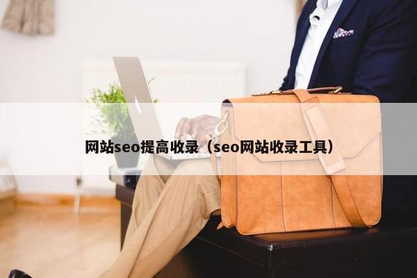 网站seo提高收录（seo网站收录工具）