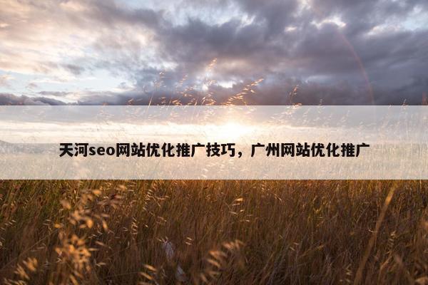 天河seo网站优化推广技巧，广州网站优化推广
