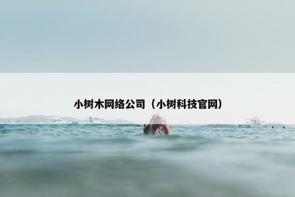 小树木网络公司（小树科技官网）
