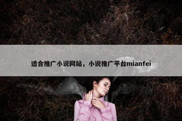 适合推广小说网站，小说推广平台mianfei