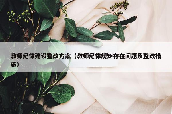 教师纪律建设整改方案（教师纪律规矩存在问题及整改措施）