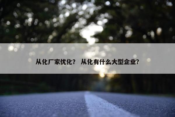 从化厂家优化？ 从化有什么大型企业？