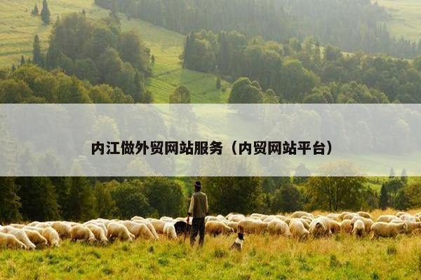 内江做外贸网站服务（内贸网站平台）