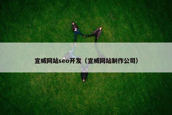 宣威网站seo开发（宣威网站制作公司）