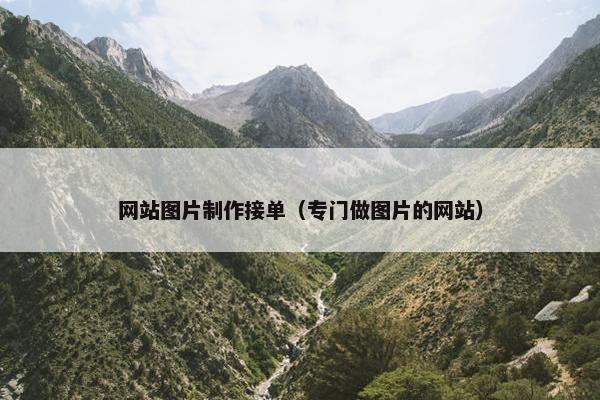 网站图片制作接单（专门做图片的网站）