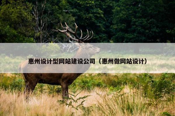 惠州设计型网站建设公司（惠州做网站设计）