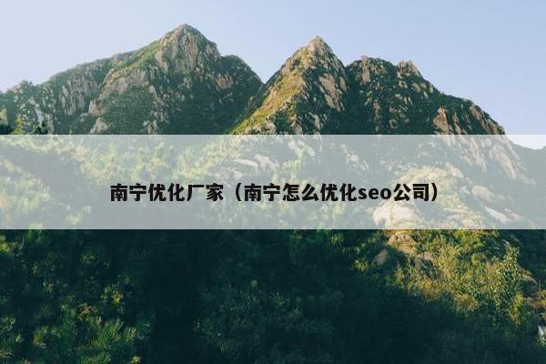 南宁优化厂家（南宁怎么优化seo公司）