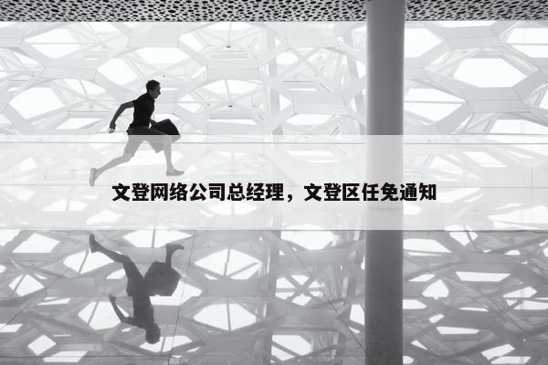 文登网络公司总经理，文登区任免通知
