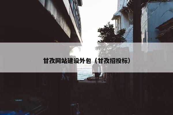 甘孜网站建设外包（甘孜招投标）