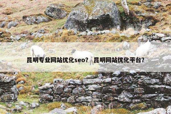 昆明专业网站优化seo？ 昆明网站优化平台？