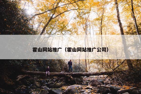 霍山网站推广（霍山网站推广公司）