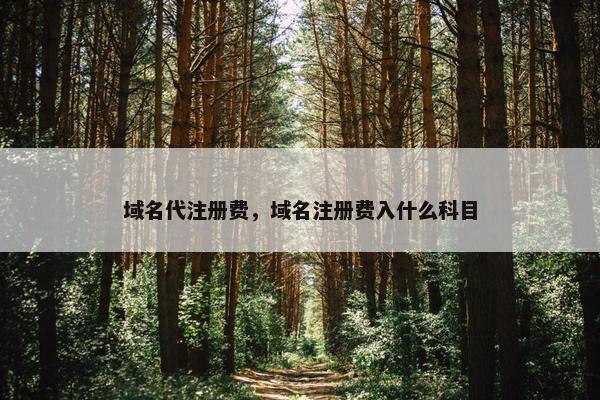 域名代注册费，域名注册费入什么科目