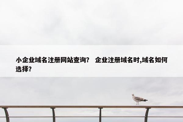 小企业域名注册网站查询？ 企业注册域名时,域名如何选择？