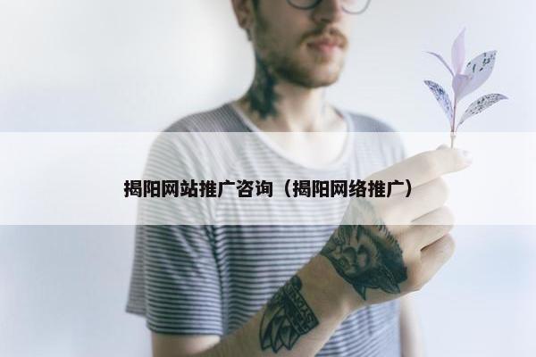 揭阳网站推广咨询（揭阳网络推广）
