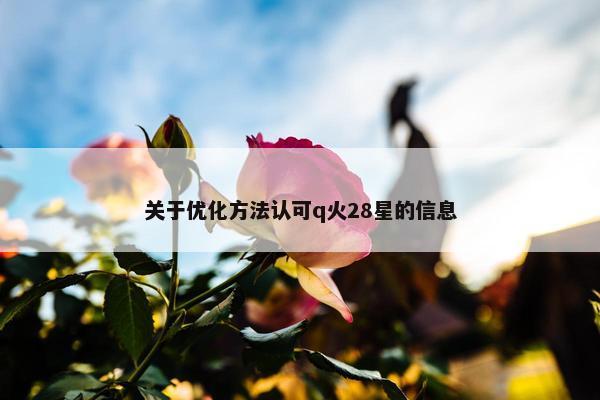 关于优化方法认可q火28星的信息