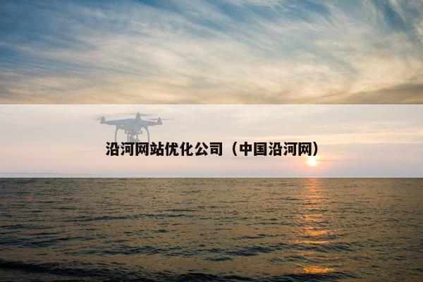 沿河网站优化公司（中国沿河网）