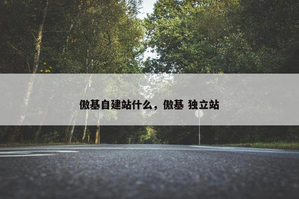 傲基自建站什么，傲基 独立站
