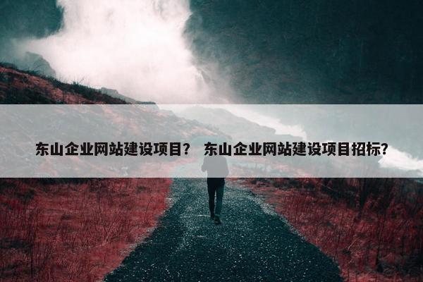东山企业网站建设项目？ 东山企业网站建设项目招标？