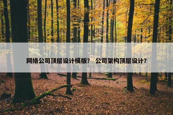 网络公司顶层设计模版？ 公司架构顶层设计？
