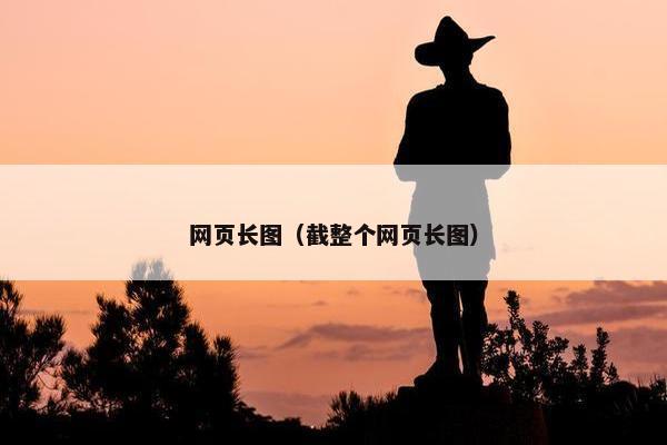 网页长图（截整个网页长图）