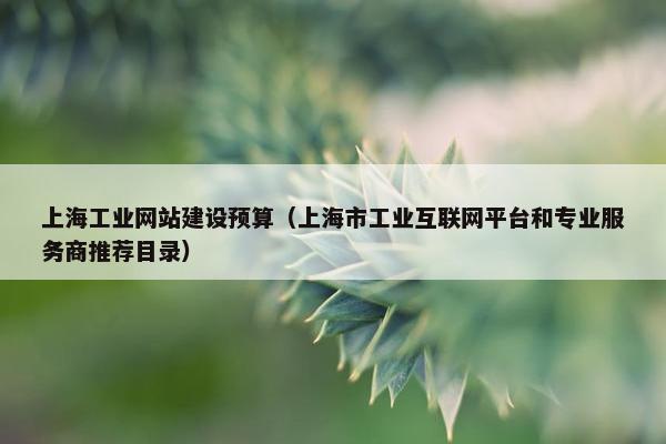 上海工业网站建设预算（上海市工业互联网平台和专业服务商推荐目录）