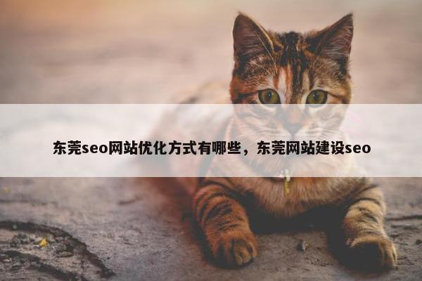 东莞seo网站优化方式有哪些，东莞网站建设seo