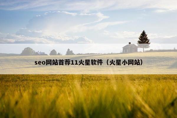 seo网站首荐11火星软件（火星小网站）