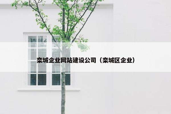 栾城企业网站建设公司（栾城区企业）