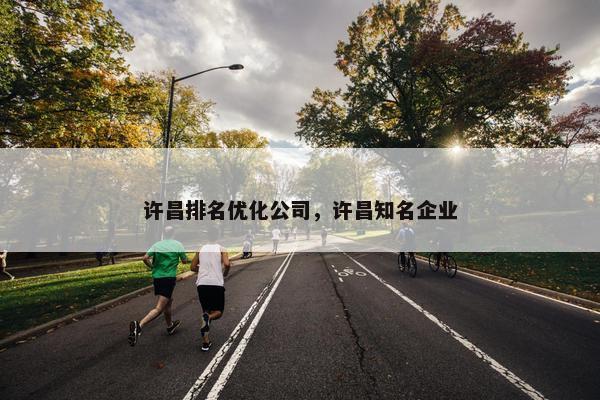 许昌排名优化公司，许昌知名企业