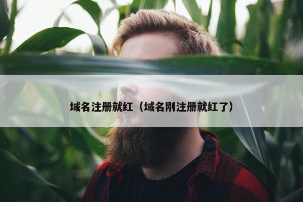 域名注册就红（域名刚注册就红了）