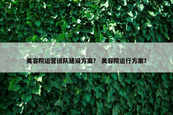 美容院运营团队建设方案？ 美容院运行方案？