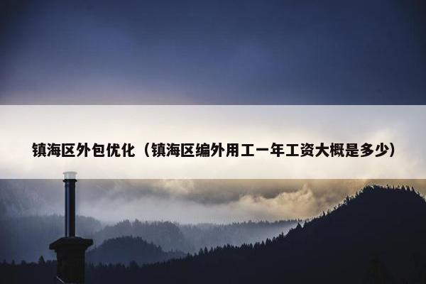 镇海区外包优化（镇海区编外用工一年工资大概是多少）