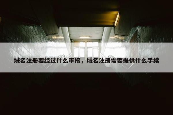域名注册要经过什么审核，域名注册需要提供什么手续